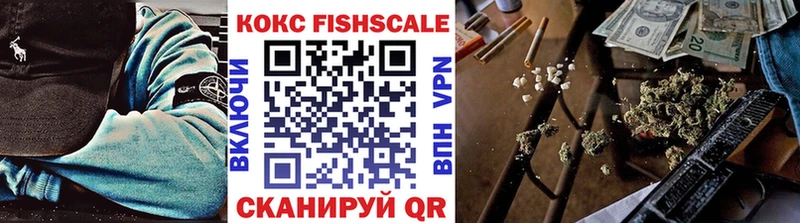 Cocaine Fish Scale  МЕГА ONION  Россошь  купить наркотик 