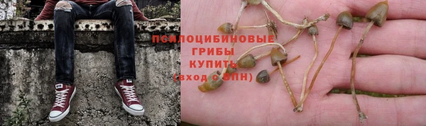 ешки Абдулино