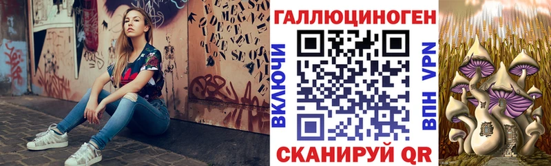 Галлюциногенные грибы Psilocybine cubensis  сколько стоит  Россошь 